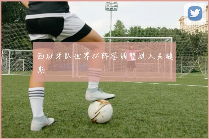 西班牙队世界杯阵容调整进入关键期